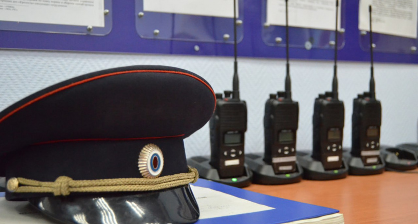 В Твери водитель маркетплейса по фиктивным заказам похитил машинку для стрижки овец