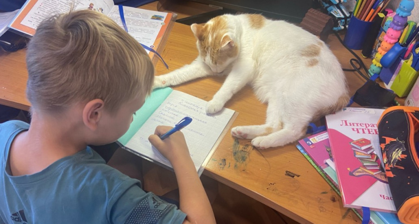 Эти 11 старинных имен сейчас на грани исчезновения: почему мы воротим нос - они яркие, добрые и со смыслом  