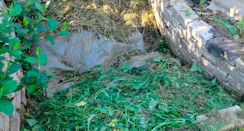 Суперский «сжигатель» для активации компоста: преет даже зимой - нужно лишь знать одну хитрость