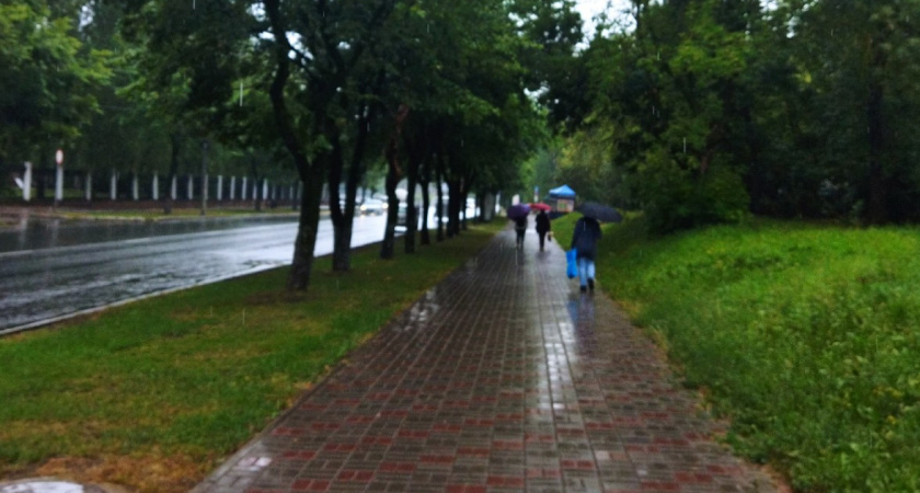 Этот человек вас обязательно предаст: 1 меткая цитата Андрея Васильева - признак, о котором никогда не говорят вслух