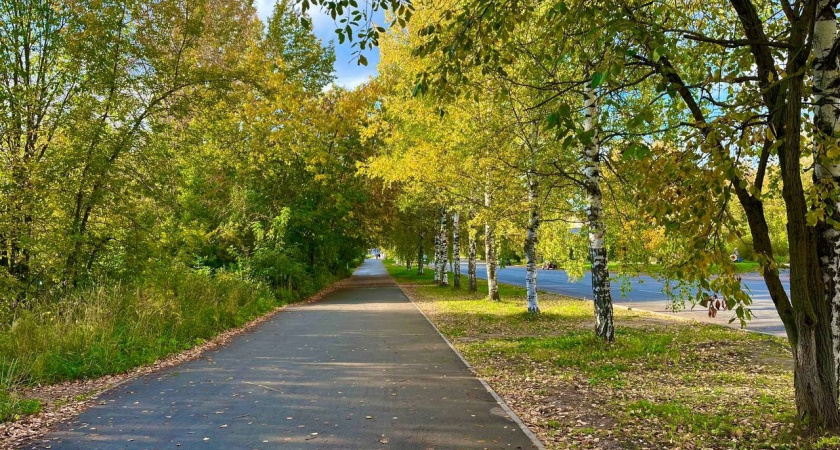 Аномально сухой октябрь ожидается в Тверской области впервые с позапрошлого века