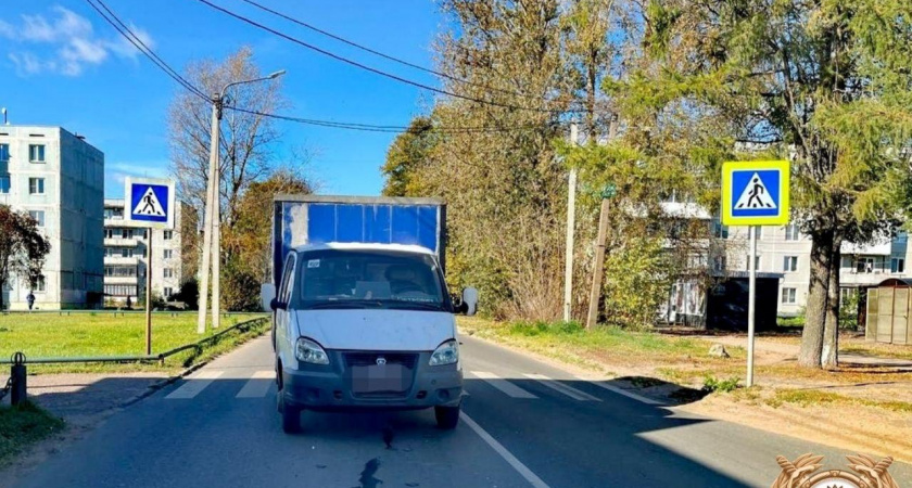 Пенсионер на продуктовом грузовике сбил 13-летнего школьника в поселке Литвинки