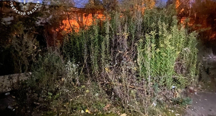 Тело 14-летнего подростка нашли у дома на улице Коминтерна в Твери