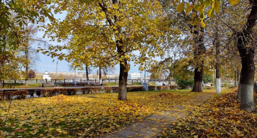 В Тверской области снова наступит бабье лето с теплом и солнцем
