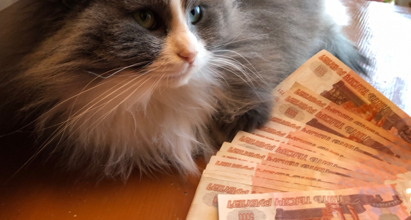 Житель Молоково потерял 18 тысяч рублей при аренде квартиры в Твери