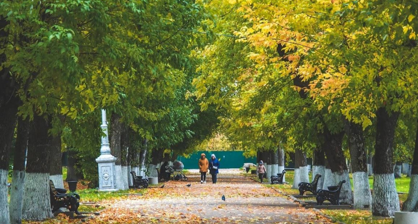 Вторая волна бабьего лета начнется в среду в Тверской области