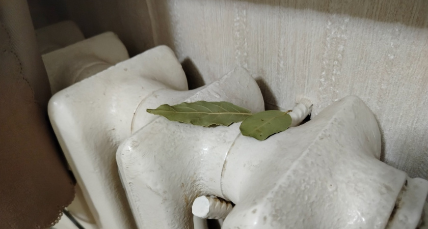 Опубликован график запуска отопления в Твери на осень-зиму 2025