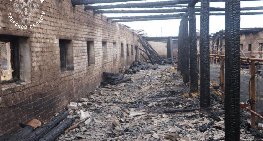 Пьяная «помощь»: жительница Торжка сожгла ферму с 19 коровами