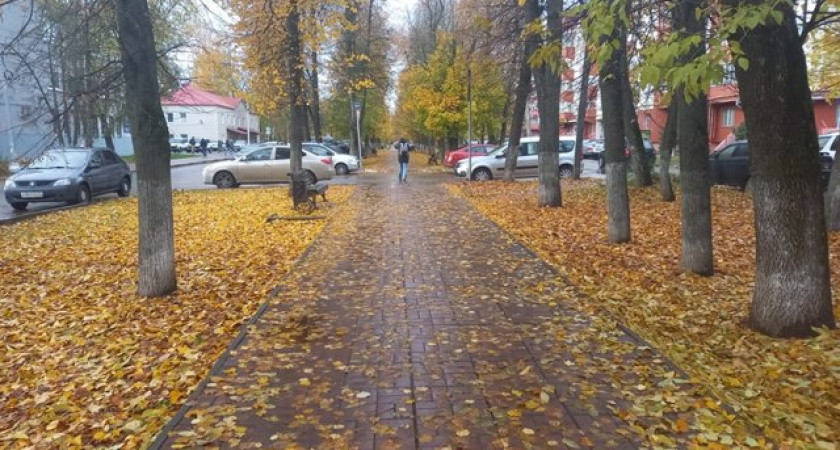 Антициклон принесет в Тверскую область солнечную, но холодную погоду