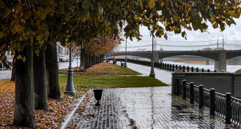 Тверскую область ожидают дождливые выходные по прогнозу синоптиков