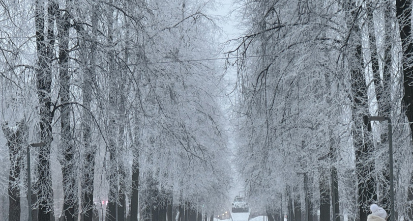 В Тверской области зимой прогнозируют морозы до минус 20 градусов