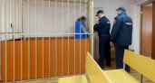 Подозреваемую в жестоком убийстве в Нелидово арестовали по решению суда
