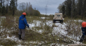 В Тверской области устраняют последствия шторма: электроснабжение восстанавливают круглосуточно