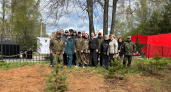 На Ржевской земле высадили «Сад Памяти» к 80-летию Победы