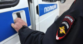 Житель Торжка до смерти избил свою собаку