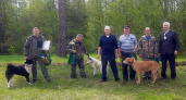 Лучшую охотничью собаку региона выбрали на выставке в Вышнем Волочке