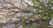 Тело неизвестного мужчины подняли на берег Вышневолоцкого водохранилища