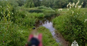 Трагедия на реке Большая Коша: в Селижаровском округе нашли тело девушки