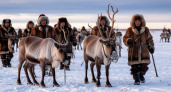 Россиянка поехала в тундру к оленеводам - и ахнула: вот как северные жители моются, ходят в туалет и рожают при -50