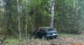 В Тверской области водитель «Жигулей» погиб в ДТП после съезда в кювет