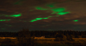 Ночное световое шоу: яркое северное сияние осветило небо над Тверью