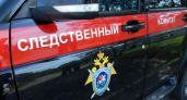 Следователи возбудили уголовное дело после пропажи подростка в Кесовой Горе