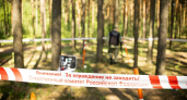 Жители жалуются на мусор и разбитые дороги после рубки леса в деревне Будущее