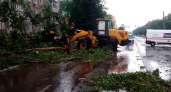В Твери коммунальщики ликвидируют последствия грозового ливня