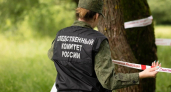 В Тверской области на пожаре обнаружены тела двух человек