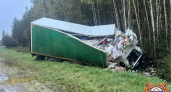 В Рамешковском округе водитель иномарки погиб после ДТП с фурой на “встречке”