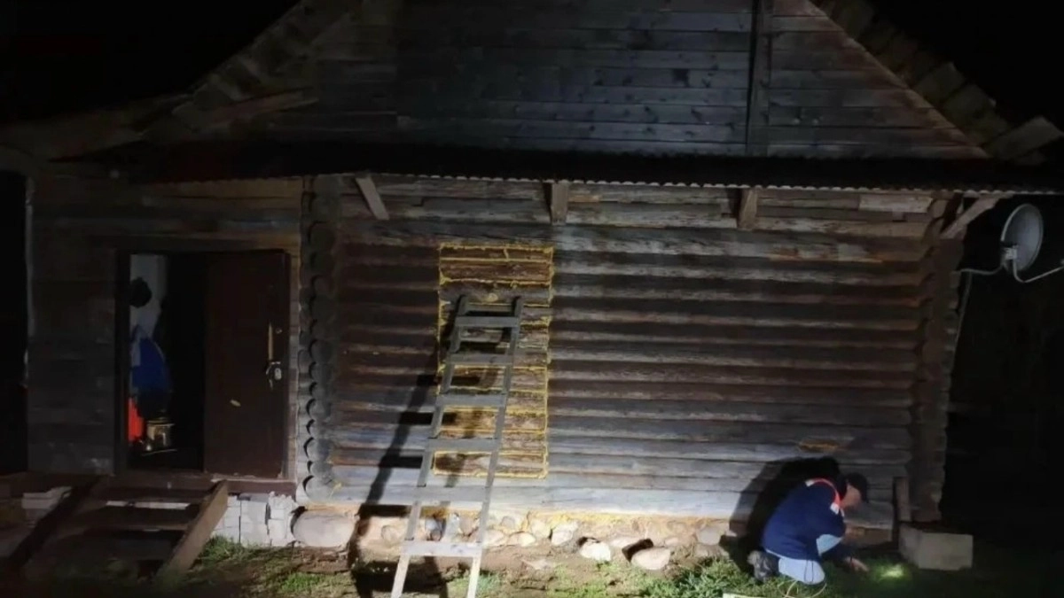 В деревне Березки мужчина открыл огонь по своему знакомому из камышей на почве неприязни