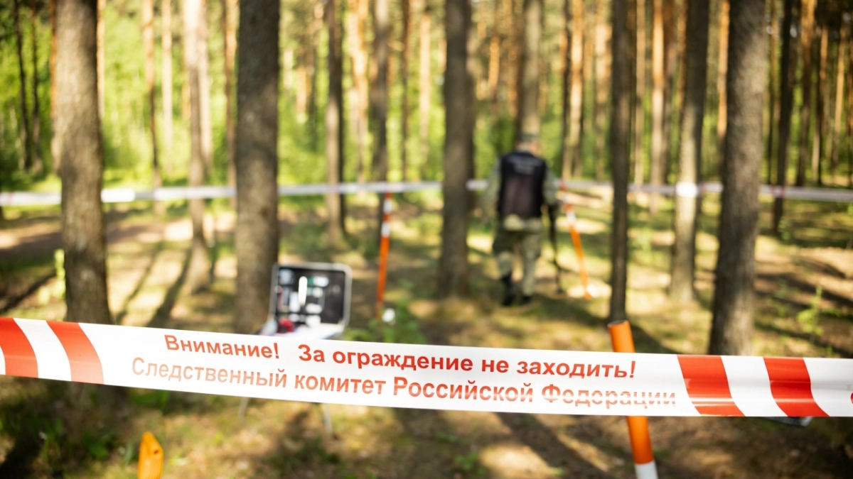 Жители жалуются на мусор и разбитые дороги после рубки леса в деревне Будущее