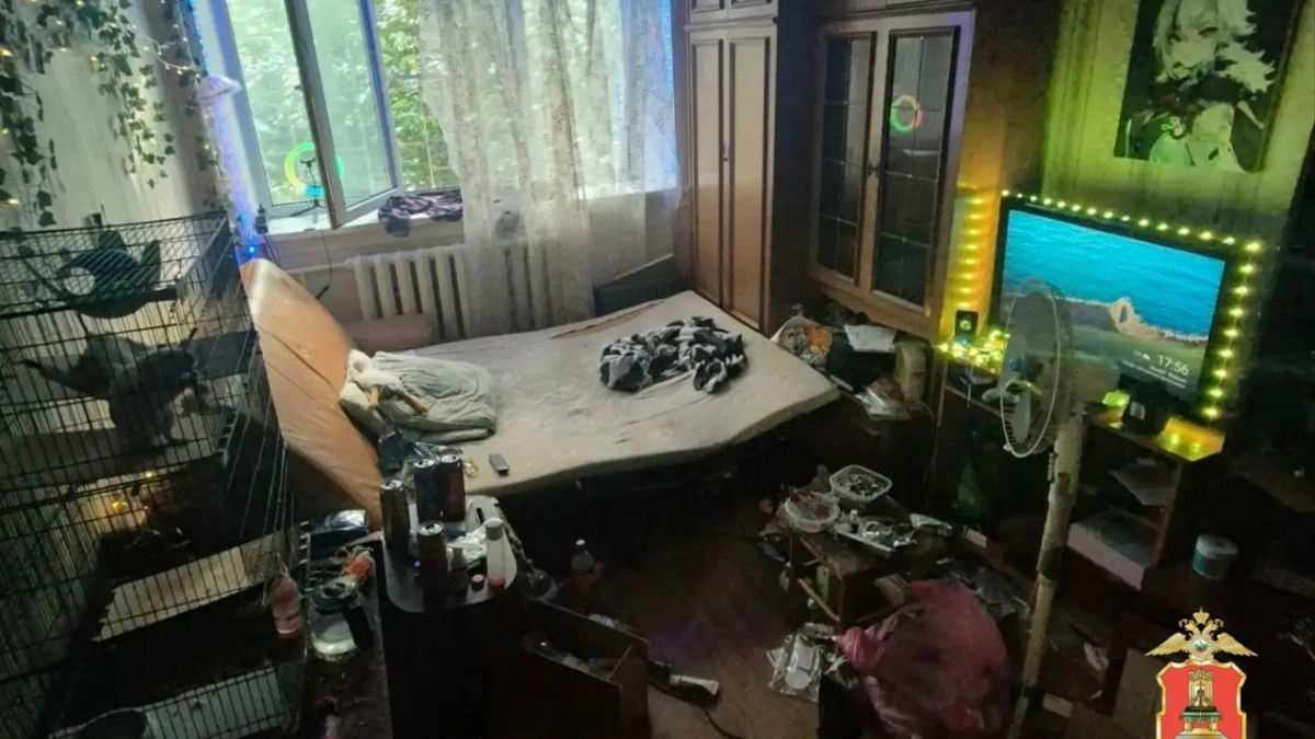 В Твери задержали девушку за распространение порнографии в мессенджере