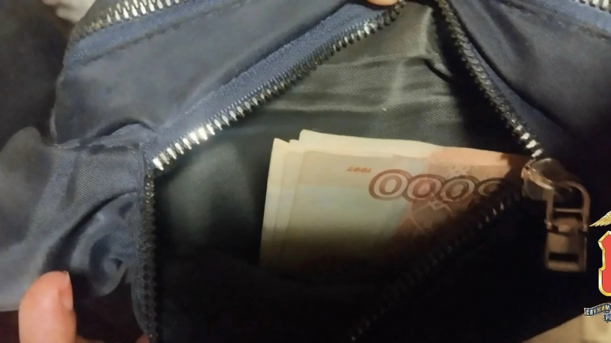 Сосед украл 10 тысяч из квартиры своей спящей знакомой в Торопецком районе