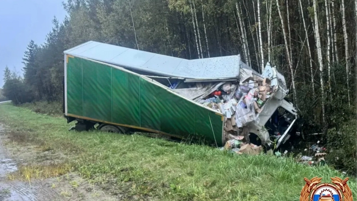 В Рамешковском округе водитель иномарки погиб после ДТП с фурой на “встречке”