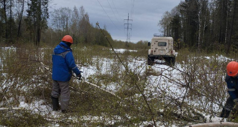 В Тверской области устраняют последствия шторма: электроснабжение восстанавливают круглосуточно