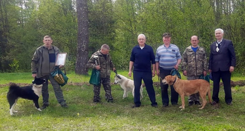 Лучшую охотничью собаку региона выбрали на выставке в Вышнем Волочке