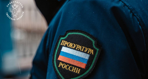 «Черным лесорубам» из Осташкова вынесли приговор