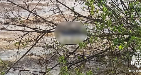 Тело неизвестного мужчины подняли на берег Вышневолоцкого водохранилища