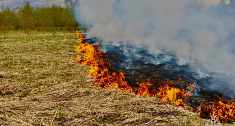 С 11 июня в Тверской области вводится особый противопожарный режим