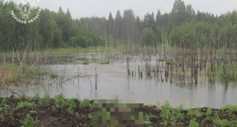 В Тверской области СК и прокуратура изучают смерть от удара током на стройке М-11